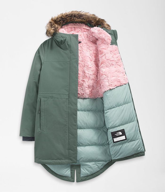 north face arctic swirl down parka