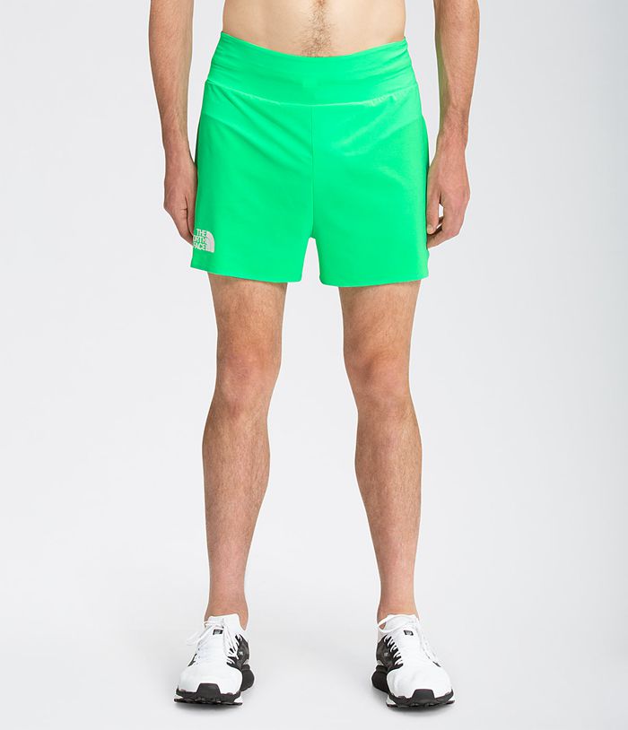 green north face shorts